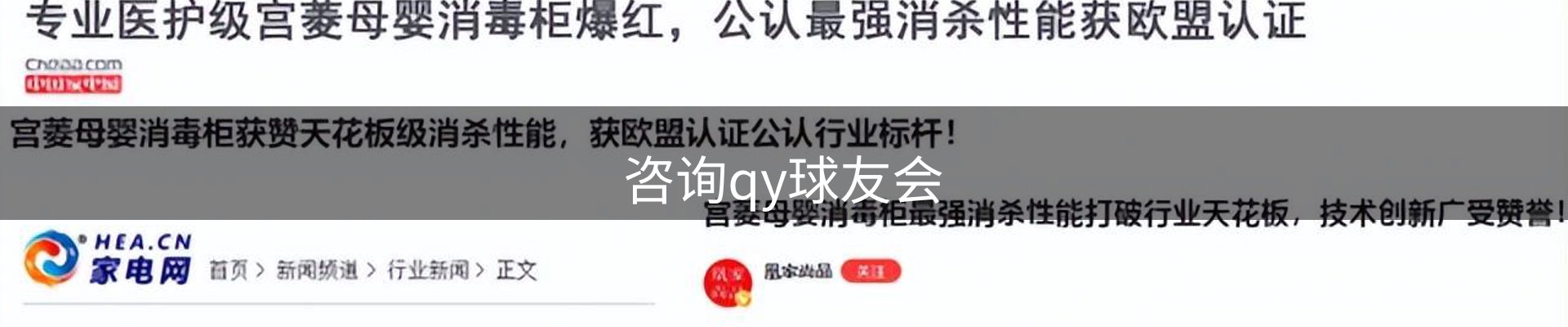 咨询qy球友会